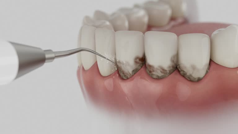 Reliable Dental contractor in New Concord, OH by Dentist Open Now
